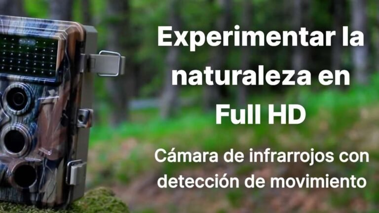 Cámaras de fototrampeo y vigilancia